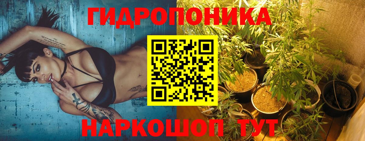 Бошки Шишки план  Бошки марихуана LSD WEED  Нальчик  МАРИХУАНА Ganja  Вход с VPN  Шишки марихуана индика 